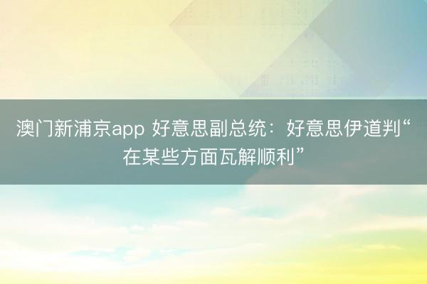 澳门新浦京app 好意思副总统：好意思伊道判“在某些方面瓦解顺利”