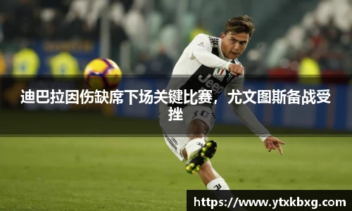 万博max体育官网入口